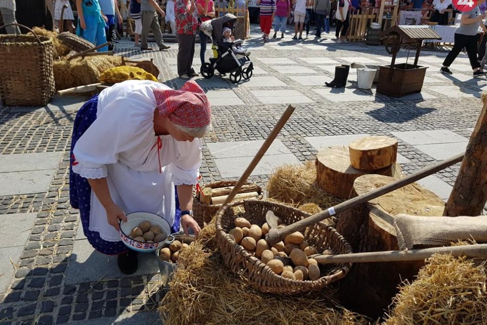 Ilustračný obrázok k článku Švábkafest v Mikuláši: Návštevníci ochutnajú aj známu liptovskú pochúťku