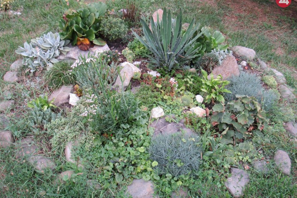 Ilustračný obrázok k článku Parčík na križovatke Záhradnícka - Karadžičova bude krajší. Mesto ho revitalizuje