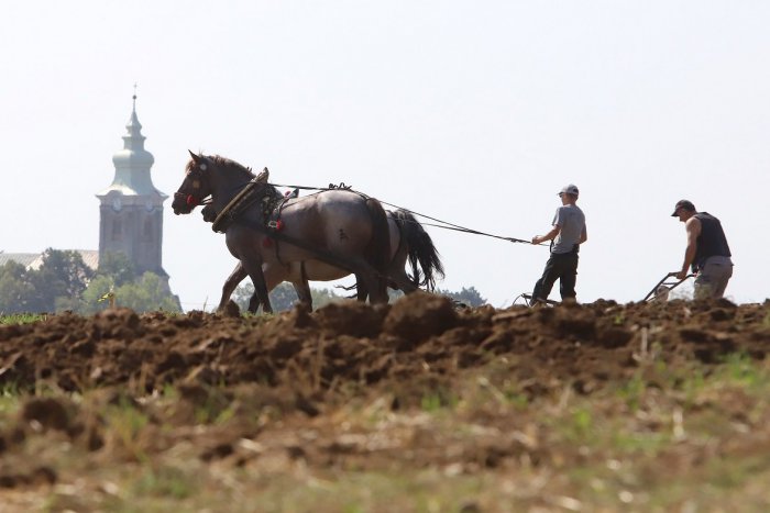 Ilustračný obrázok k článku RANNÁ ŠTVORKA: Nový pracovný týždeň odštartuje slnečným počasím, meniny má Oleg