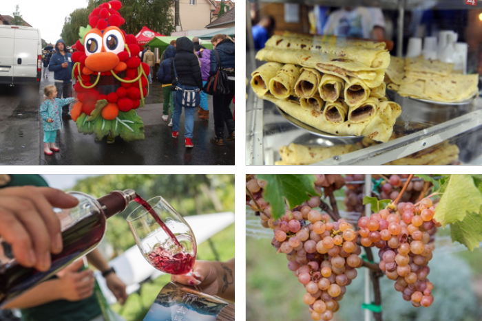 Ilustračný obrázok k článku Kam v Bratislave zadarmo: Poctivé domáce produkty priamo na tanieri, vínko v pohári