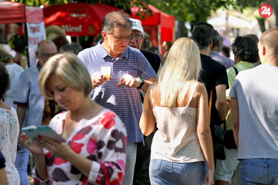 Ilustračný obrázok k článku FOTO z Podzoborského vinobrania: Mestský park v Nitre ožil hudbou a folklórom