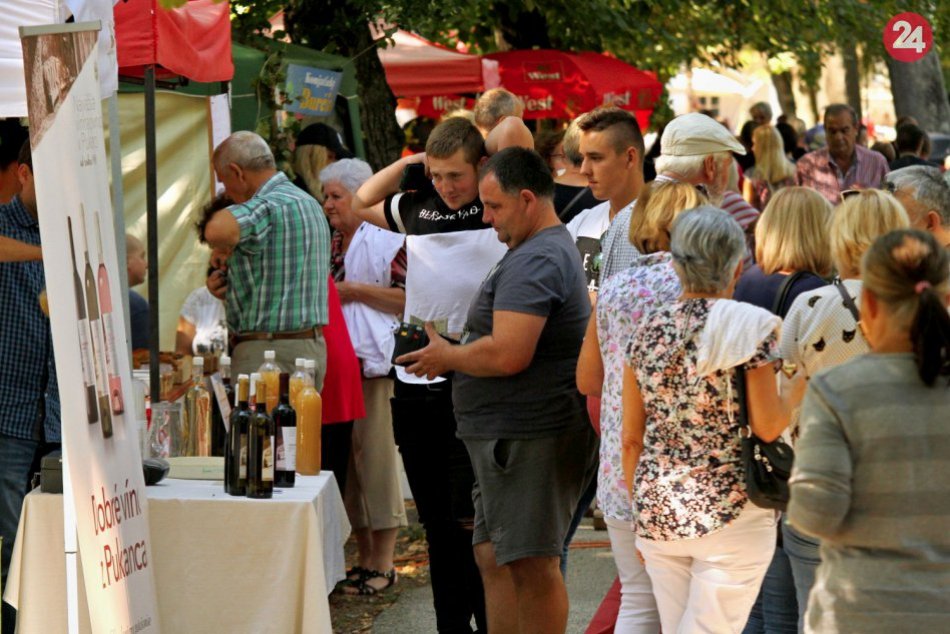 Ilustračný obrázok k článku TIPY na predĺžený víkend: Tešiť sa môžete na VINOBRANIE, festival aj Korzo chutí