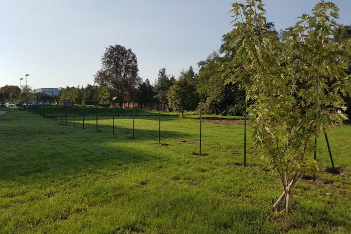 Ilustračný obrázok k článku V Šali myslia aj na chlpáčov: Vzniká venčovisko  s voľným výbehom, FOTO