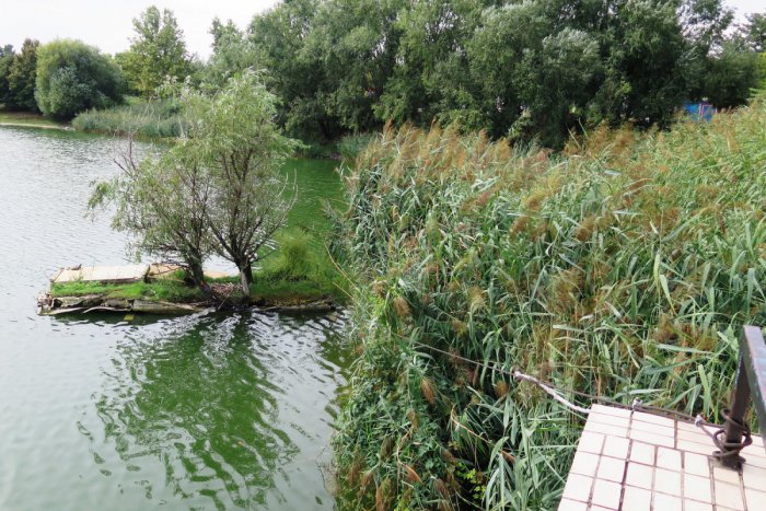 Ilustračný obrázok k článku Na Štrkovci vznikne nový umelý ostrovček. Bude slúžiť na hniezdenie vtáctva