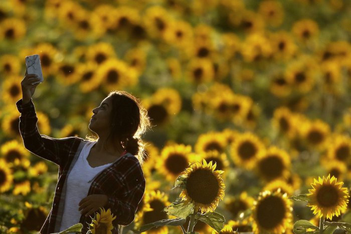Ilustračný obrázok k článku Pred nami sú horúce dni: Teploty vystúpia na tropických 30 °C