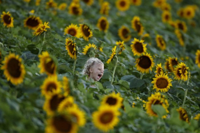 Ilustračný obrázok k článku RANNÁ ŠTVORKA: V stredu bude slnečno a teplo, meniny má Mária