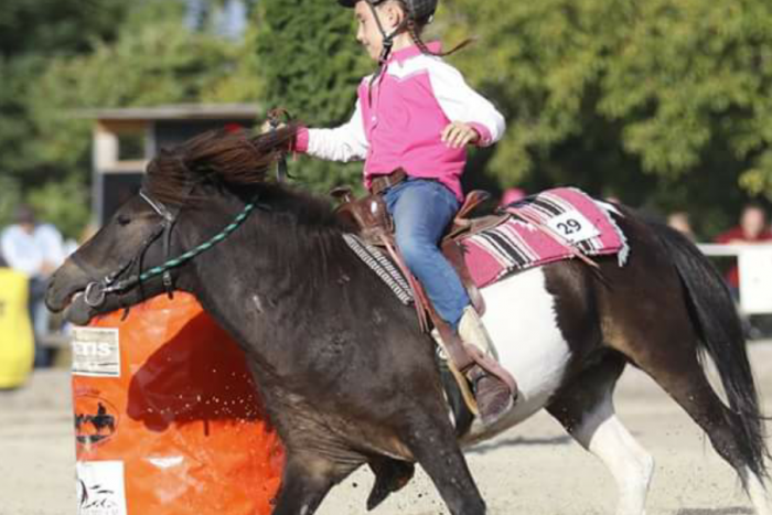 Ilustračný obrázok k článku FOTO,  Trnoveckí voltižéri súťažili vo  Vrakúni: Bodovali vo väčšine kategórií