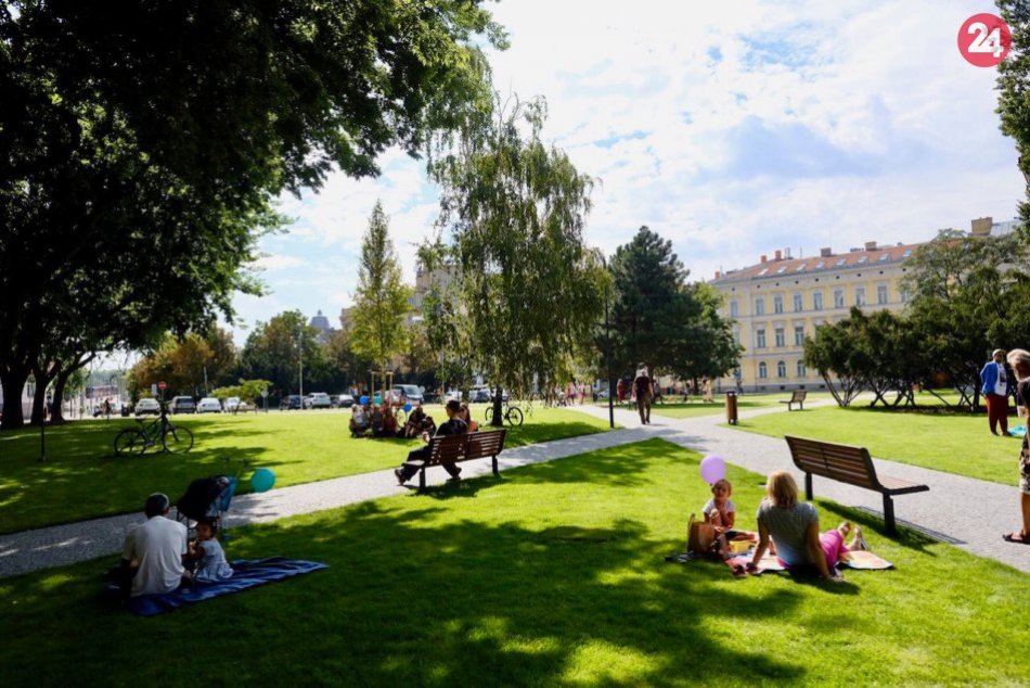 Ilustračný obrázok k článku Mesto do roku 2022 vysadí 10-tisíc drevín a vytvorí nové mestské aleje