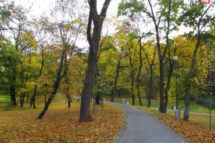 Ilustračný obrázok k článku S detektorom v Zámockej záhrade: Muž (47) skončil v rukách polície