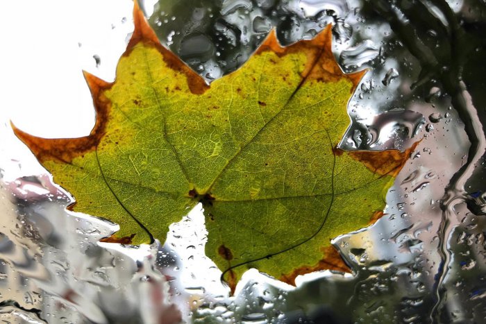 Ilustračný obrázok k článku Leto je nenávratne preč: Prvý jesenný deň bude v nedeľu 23. septembra