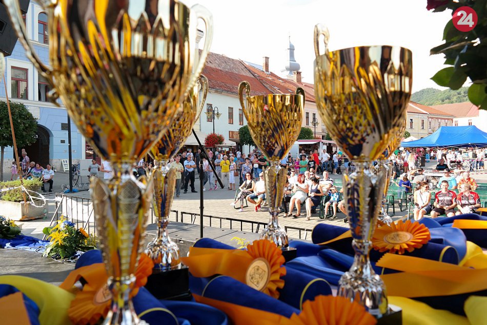 Ilustračný obrázok k článku Najúspešnejší športovec roka, kolektív, či veterán: Navrhnite osobnosť, ktorej udelia cenu!