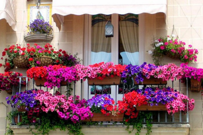 Ilustračný obrázok k článku Pochváľte sa svojím balkónom a prihláste ho do súťaže