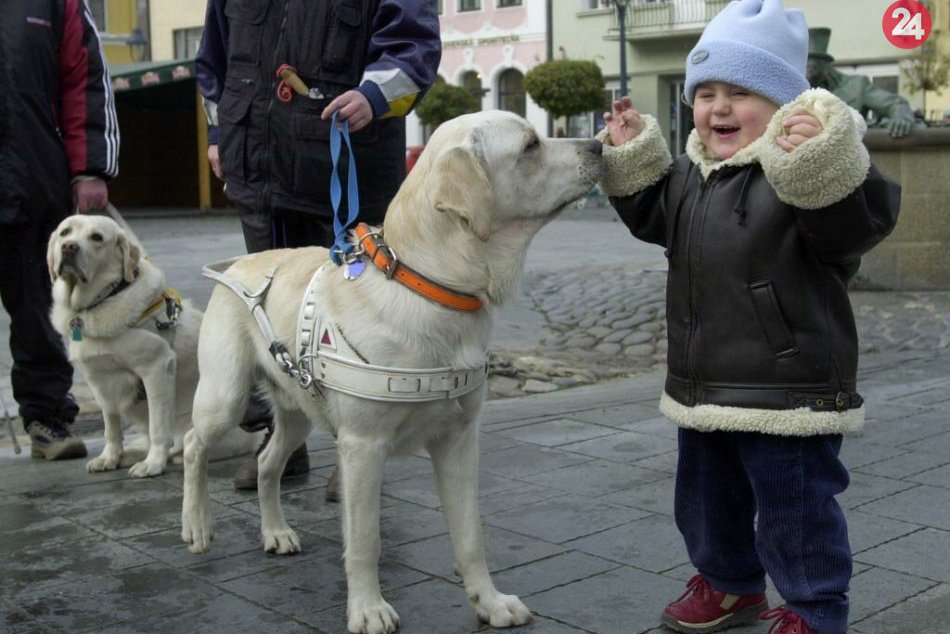 Ilustračný obrázok k článku Nezabudnite na mestské dane! Priznanie treba podať do konca januára