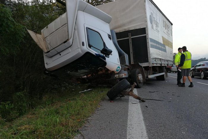 Ilustračný obrázok k článku Zrážka auta s medveďom pri Ružomberku: Na mieste zahynul jeden človek