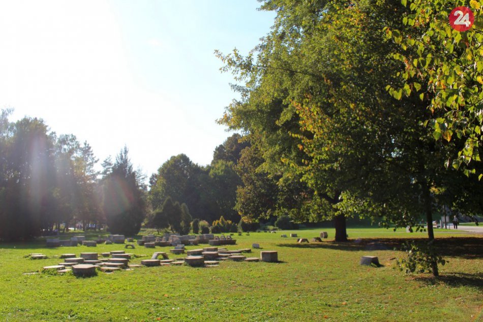 Ilustračný obrázok k článku Krušné chvíle pre alergikov: V Bystrici namerali najvyššie hladiny peľu v ovzduší