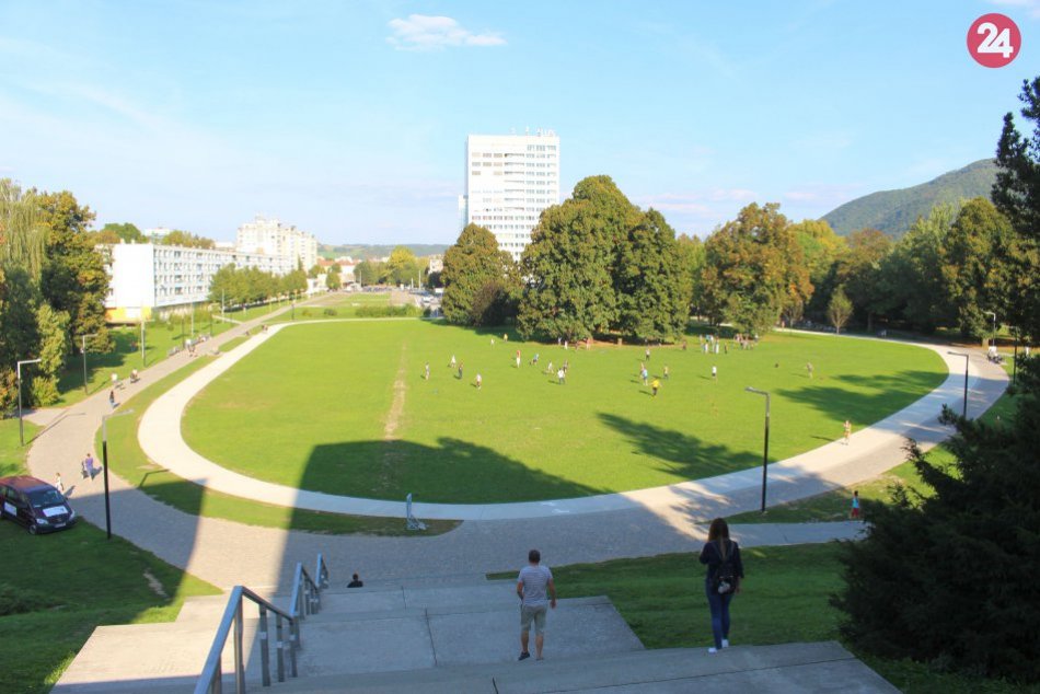 Ilustračný obrázok k článku Bystrica bude opäť o niečo zelenšia. V meste už o pár dní vysadia desiatky líp