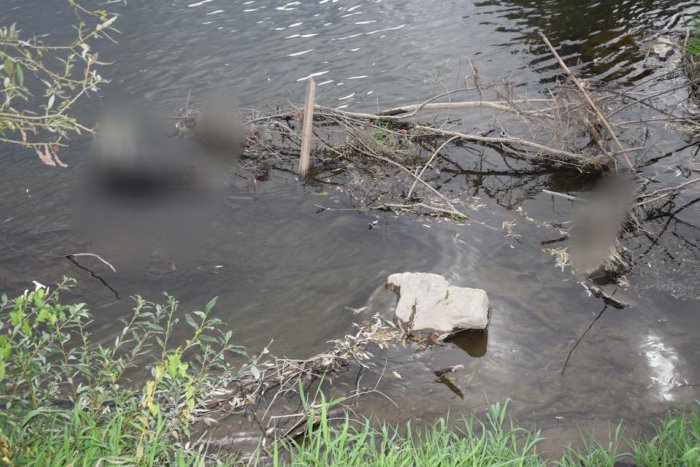 Ilustračný obrázok k článku Krutosť, nad ktorou zostáva rozum stáť: V Hrone pri Žiari našli utýraného psíka