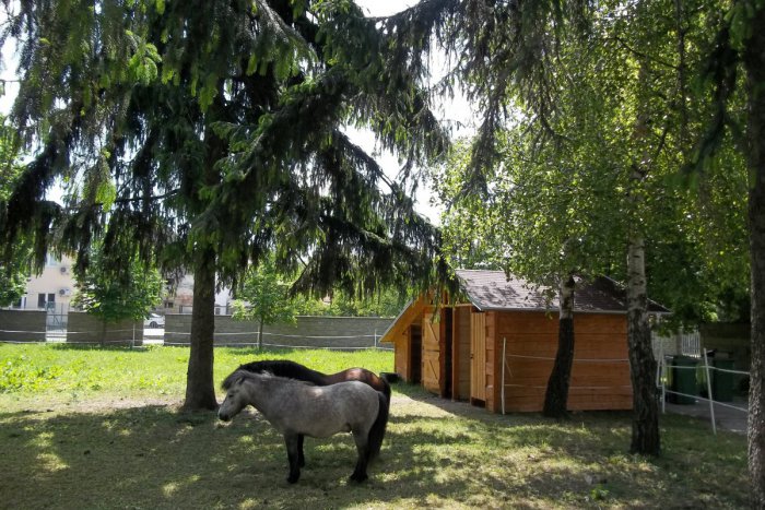 Ilustračný obrázok k článku Šaľania môžu navrhnúť svojho kandidáta: Kto získa ocenenie Tvorivý čin roka?