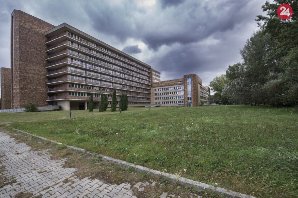 Ilustračný obrázok k článku V Bratislavskom kraji sa počas tohto roka vyskytol čierny kašeľ v 52 prípadoch