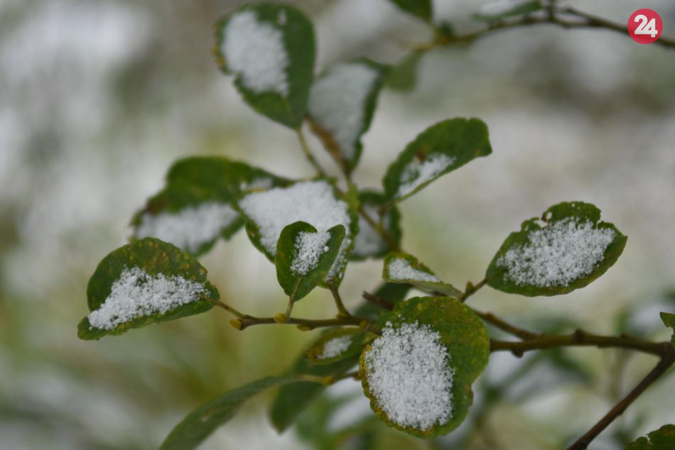 Ilustračný obrázok k článku RANNÁ ŠTVORKA: Streda bude slnečná s teplotami do 17 °C, meniny má Edita