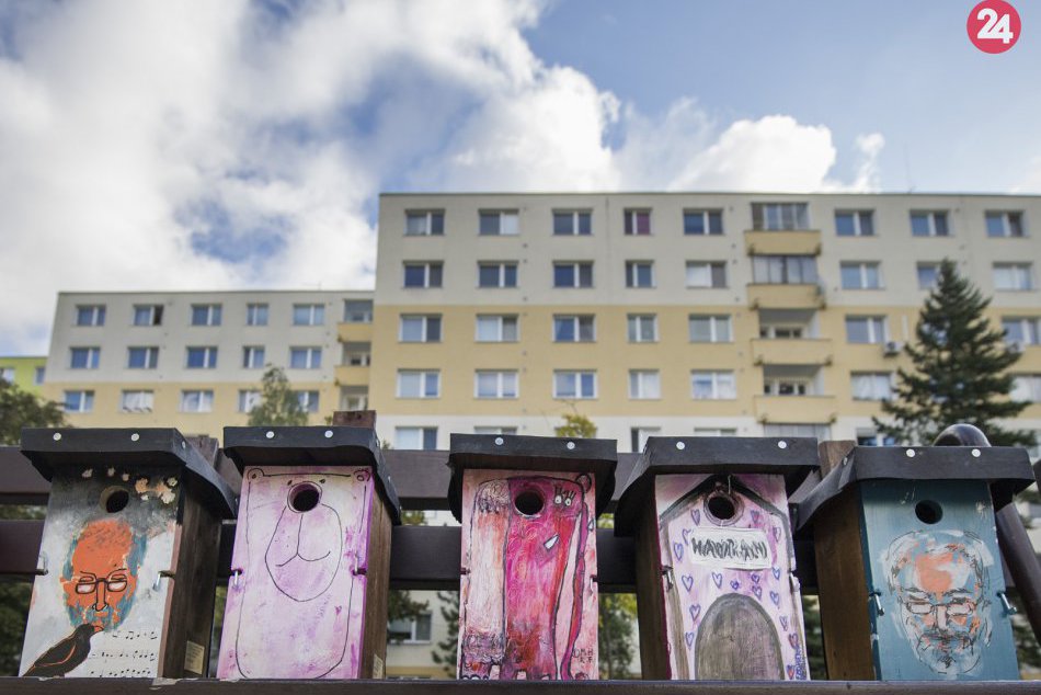 Ilustračný obrázok k článku Dúbravka predstaví foto roka