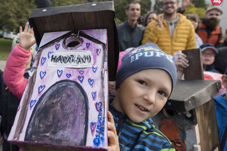 Ilustračný obrázok k článku FOTO: Dúbravčania si uctili hudobníka D. Ursinyho vtáčími búdkami