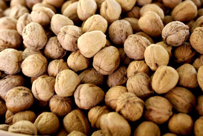 Ilustračný obrázok k článku Láka vás zber orechov pri cestách? Polícia dvíha varovný prst