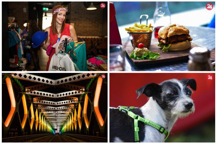 Ilustračný obrázok k článku Kam v Bratislave zadarmo: Hodujte a objavujte! Mesto bude žiť veľkými akciami