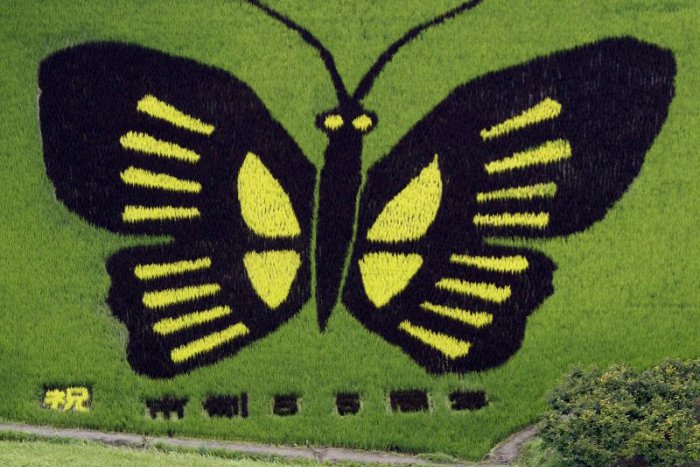 Ilustračný obrázok k článku Agrofilm predstaví filmy s témou poľnohospodárstva z celého sveta