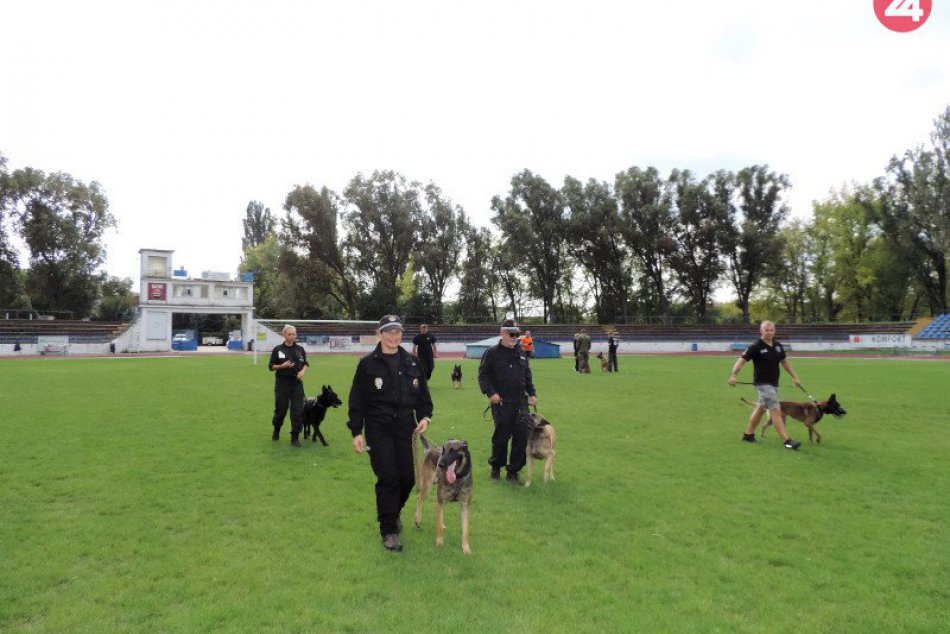 Ilustračný obrázok k článku FOTO: Na Sihoti pretekali štvornohí policajti, na stupňoch víťazov aj Zámčania
