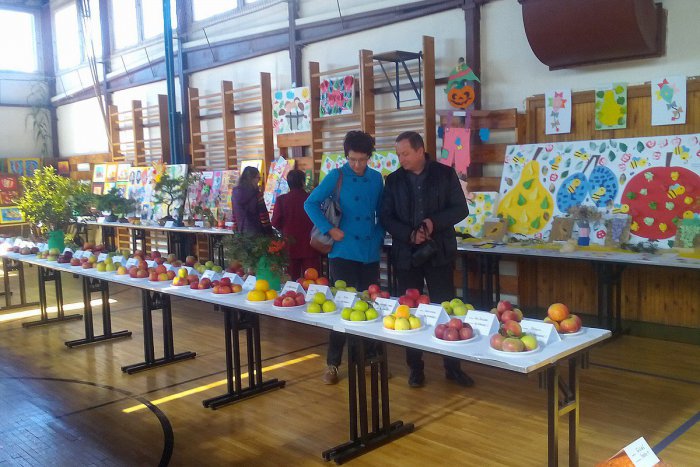 Ilustračný obrázok k článku Výstava ovocia, zeleniny a kvetov v Nemšovej: Pozrite tú nádheru na FOTKÁCH