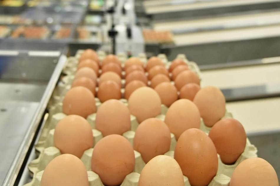 Ilustračný obrázok k článku Vajec je na slovenskom trhu dostatok: Pred Veľkou nocou idú na dračku