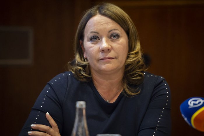 Ilustračný obrázok k článku Štátna zdravotná poisťovňa s novým vedením: Šéfovať jej má  Ľubica Hlinková