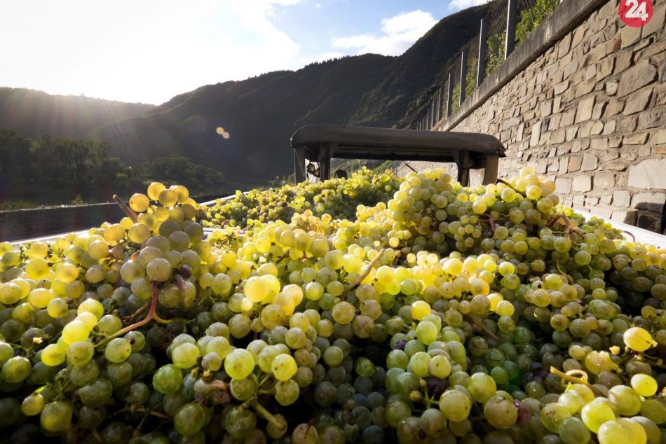 Ilustračný obrázok k článku Staré Mesto ovládnu vône Talianska