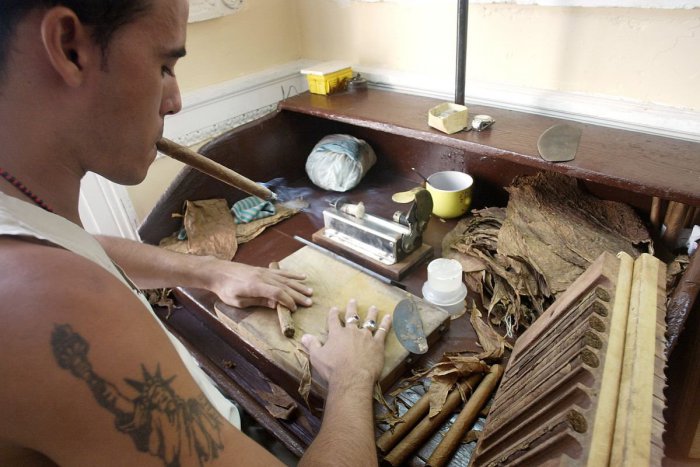 Ilustračný obrázok k článku Produkcia tabaku má vážne poškodzovať životné prostredie