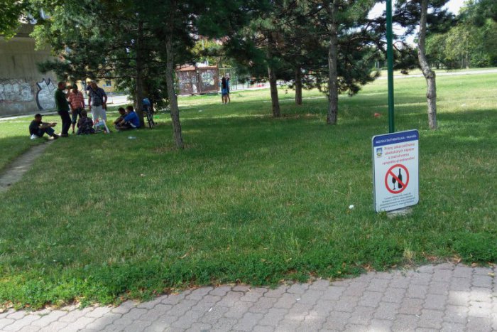 Ilustračný obrázok k článku POLÍCIA má sídliť rovno pri PENTAGONE. Pomôže to zvládnuť problémy s DROGAMI?