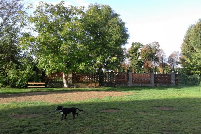 Ilustračný obrázok k článku FOTO,  V Šali vyrástol priestor pre milovníkov psov: Venčoviskom vyriešili problémy