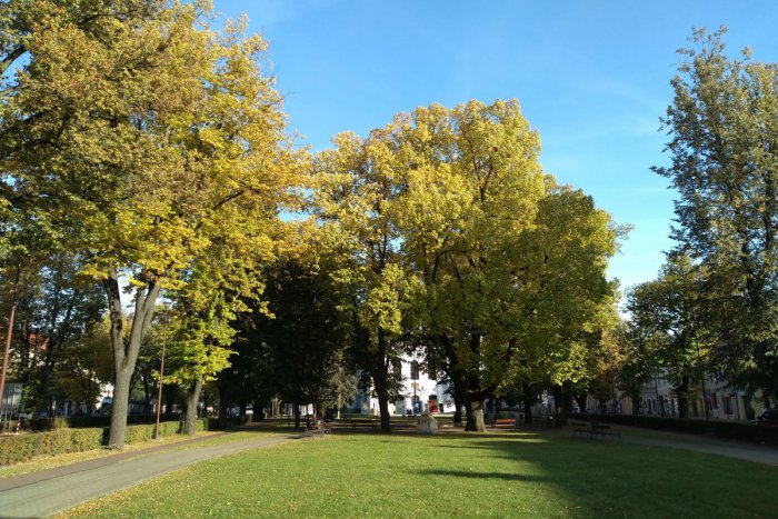 Ilustračný obrázok k článku Bacha, nech neujdú vašej pozornosti: Top lákadlá tohto týždňa v Spišskej