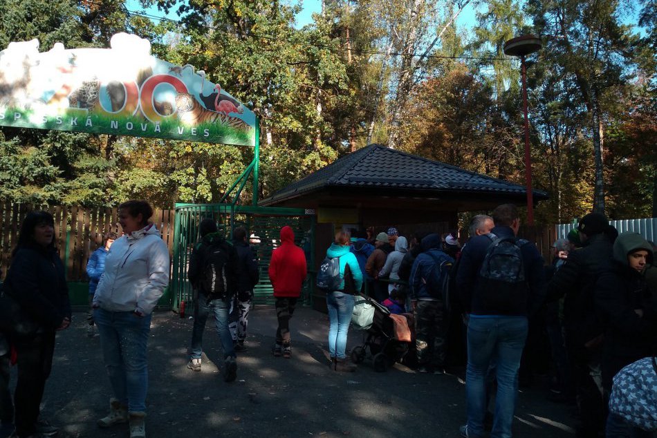 Ilustračný obrázok k článku Predaj nulovej eurobankovky vyvolal v Spišskej ošiaľ: Niektorí ľudia nocovali pred zoo