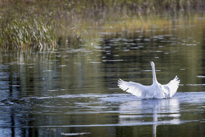 Ilustračný obrázok k článku RANNÁ ŠTVORKA: V slnečný utorok teplota vystúpi na 23 °C, meniny má Dionýz