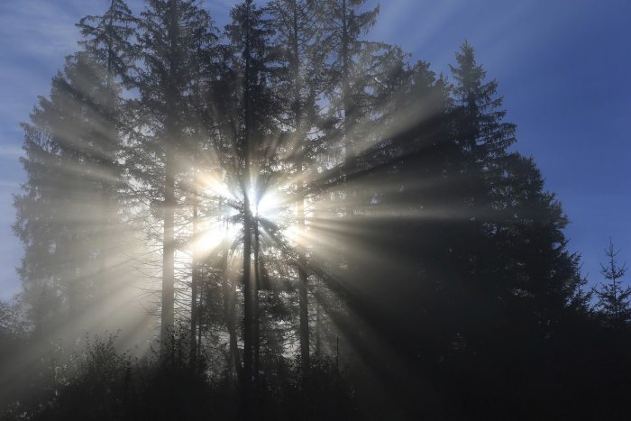 Ilustračný obrázok k článku RANNÁ ŠTVORKA: Slnečné počasie bude pokračovať aj v stredu, meniny má Slavomíra