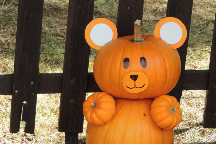 Ilustračný obrázok k článku Šoférom vykrúca krky: Dedinka pri Žiari s neprehliadnuteľnou výzdobou