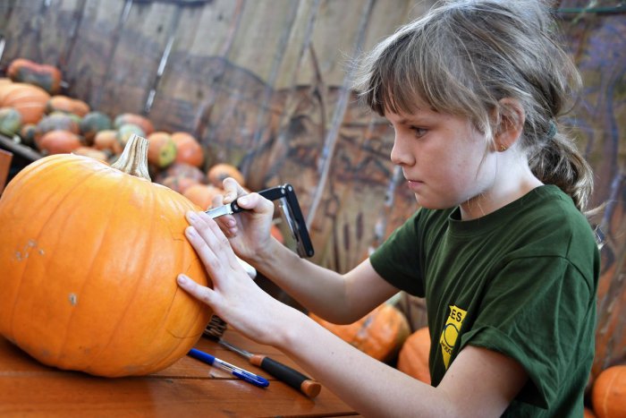 Ilustračný obrázok k článku RANNÁ ŠTVORKA: Utorok prinesie slnečné a teplé počasie, meniny má Vladimíra