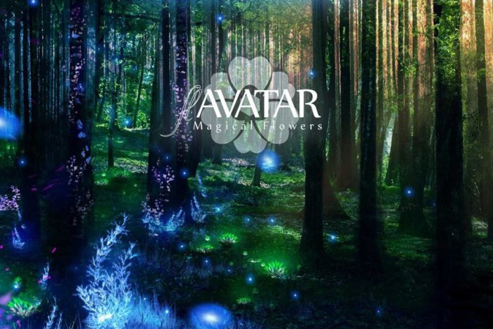 Ilustračný obrázok k článku Chcete vidieť magické svetielkujúce rastliny? Navštívte Botanickú záhradu