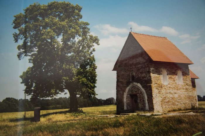 Ilustračný obrázok k článku Slovensko spoznalo Strom roka 2018: Víťazom je 200-ročná lipa
