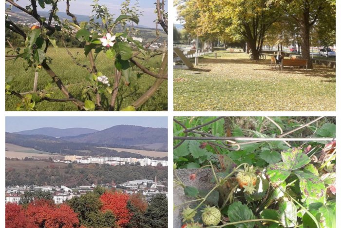 Ilustračný obrázok k článku FOTO: Jeseň krásne vyfarbila Bardejov. Babie leto však prinieslo aj extrémy