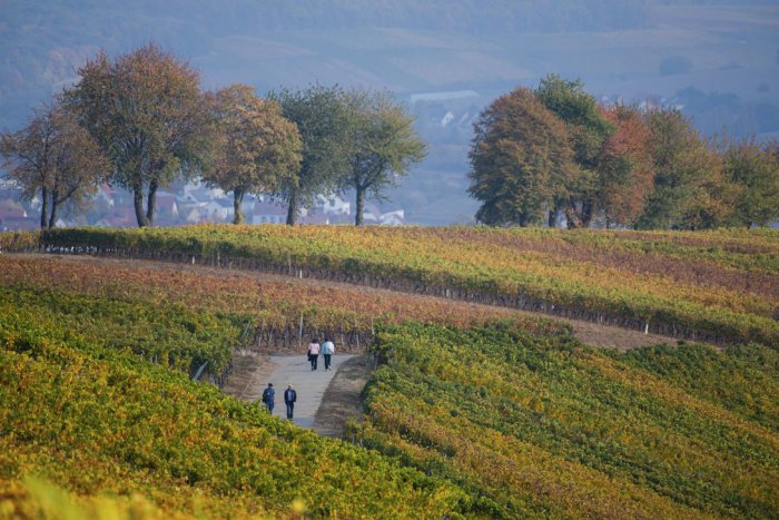 Ilustračný obrázok k článku RANNÁ ŠTVORKA: V nedeľu rátajte s oblakmi a teplotami do 16 °C, meniny má Uršuľa