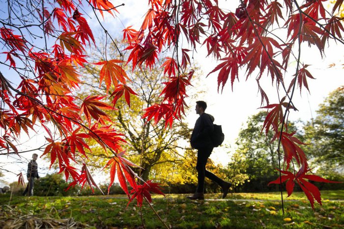 Ilustračný obrázok k článku RANNÁ ŠTVORKA: Týždeň odštartuje slnečným počasím, meniny má Sergej