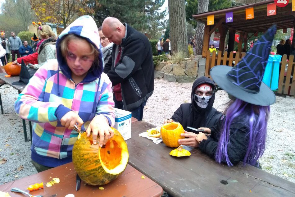 Ilustračný obrázok k článku Lampiónový sprievod a veľa zábavy: Strašidelná noc ukončila sezónu v zoo