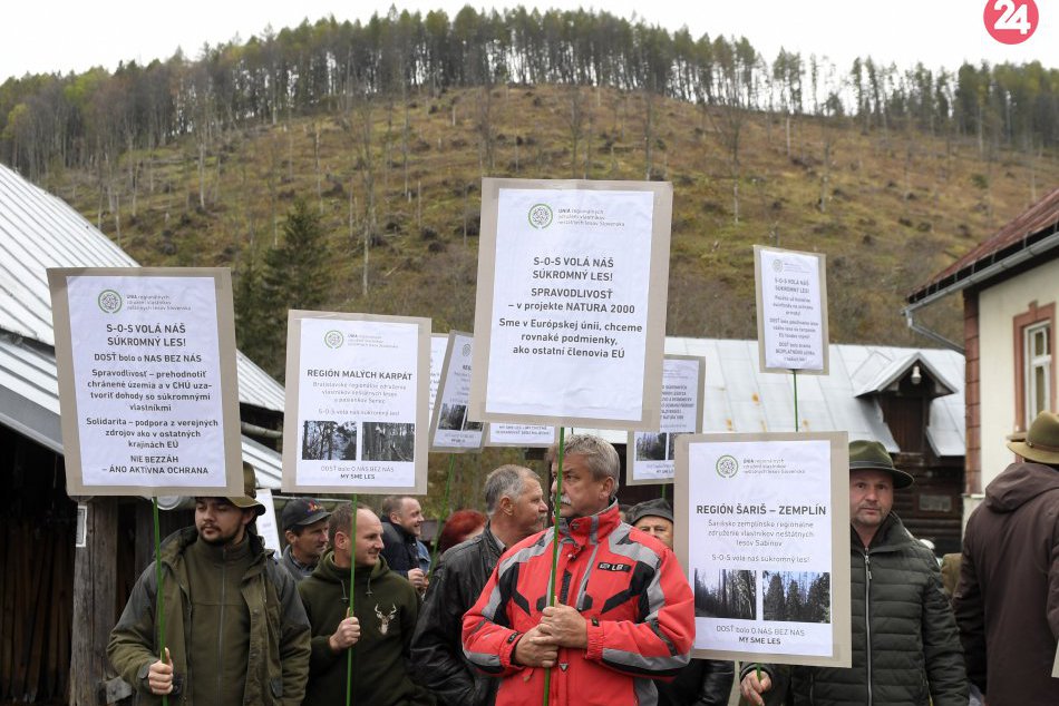 Ilustračný obrázok k článku Medzi ochranármi a lesníkmi to iskrí: Zasadnú za jeden stôl a nájdu kompromis?